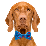 Beer Pong Blue Dog Bow Tie Aaria Tees