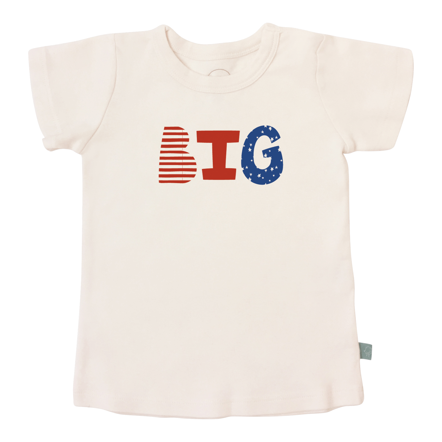 graphic tee | big - Aaria Tees Aaria Tees