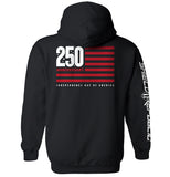 America 250 Years Anniversary Flag Aaria Tees