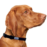 Black Dog Collar Aaria Tees