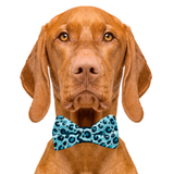 Blue Cheetah Print Dog Bow Tie Aaria Tees