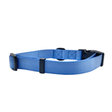Blue Dog Collar Aaria Tees