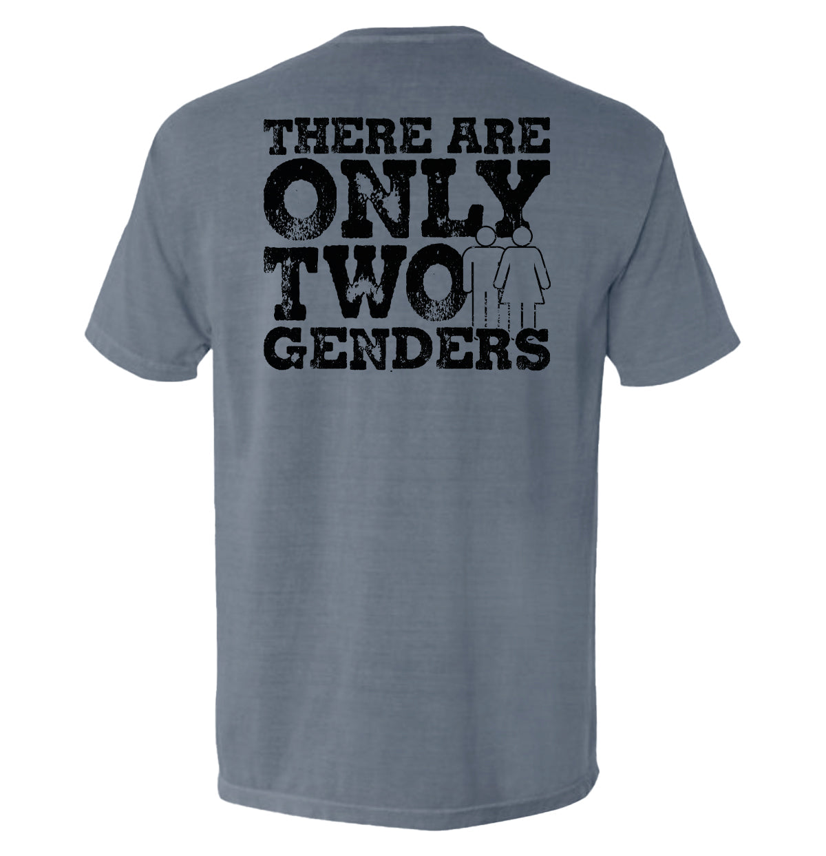 There Are Only Two Genders - Aaria Tees Aaria Tees