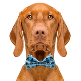Blue Poo Dog Bow Tie Aaria Tees