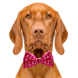 Breast Cancer Awareness Pink Dog Bow Tie Aaria Tees