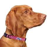 Breast Cancer Awareness Pink Dog Collar Aaria Tees