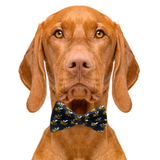 Bumblebee Black Dog Bow Tie Aaria Tees