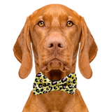 Cheetah Print Yellow Dog Bow Tie Aaria Tees