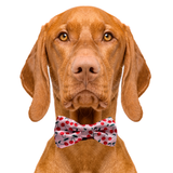Cherries Print Cherry Pink Dog Bow Tie Aaria Tees