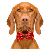 Chicken Nuggets & Waffle Fries Dog Bow Tie Aaria Tees