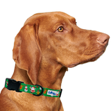 Christmas Festive Green Holiday Dog Collar Aaria Tees