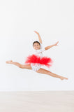 Clara's Christmas 3/4 Tutu Leotard - Aaria Tees Aaria Tees