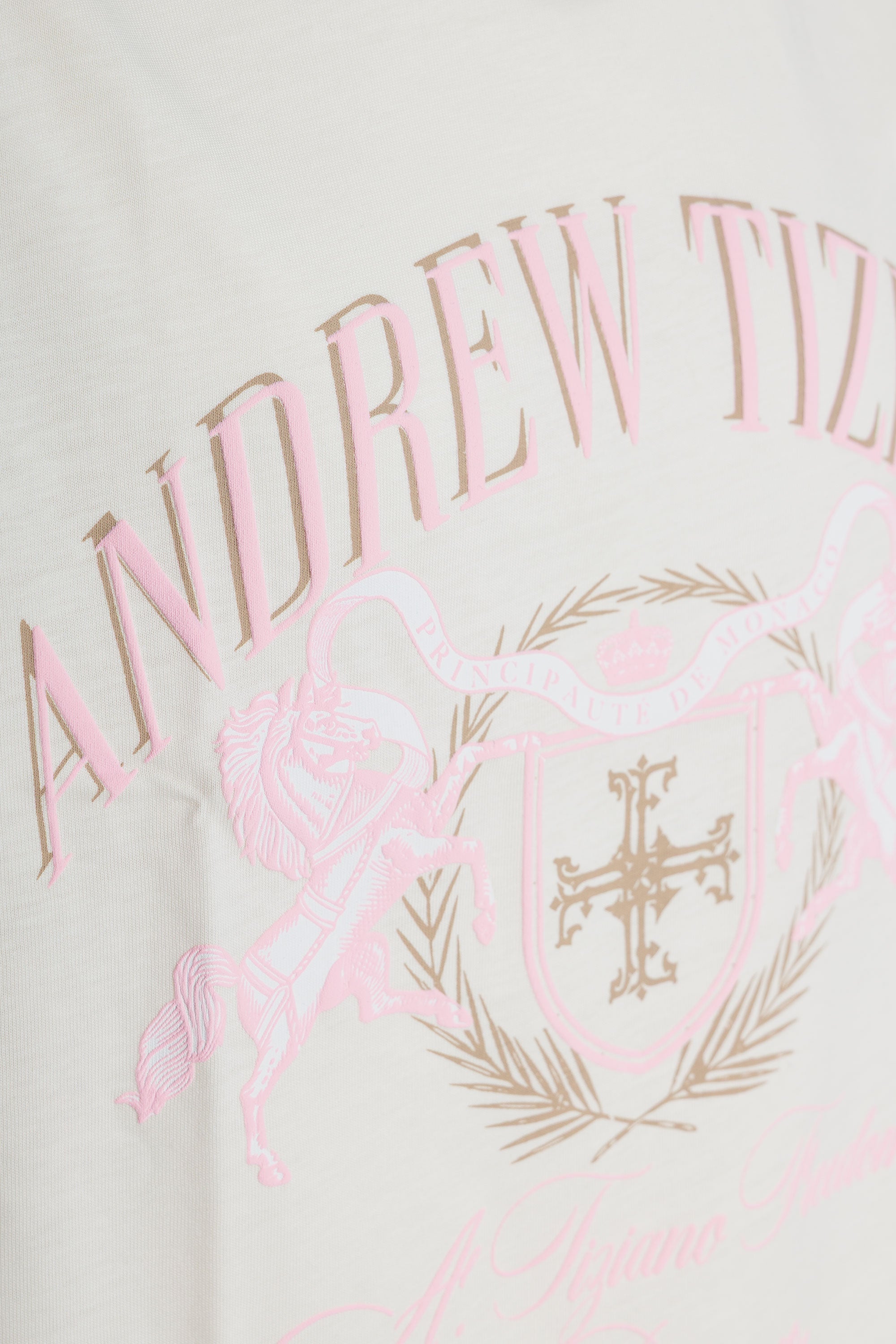 Conley | Graphic Print Tee - Aaria Tees Aaria Tees