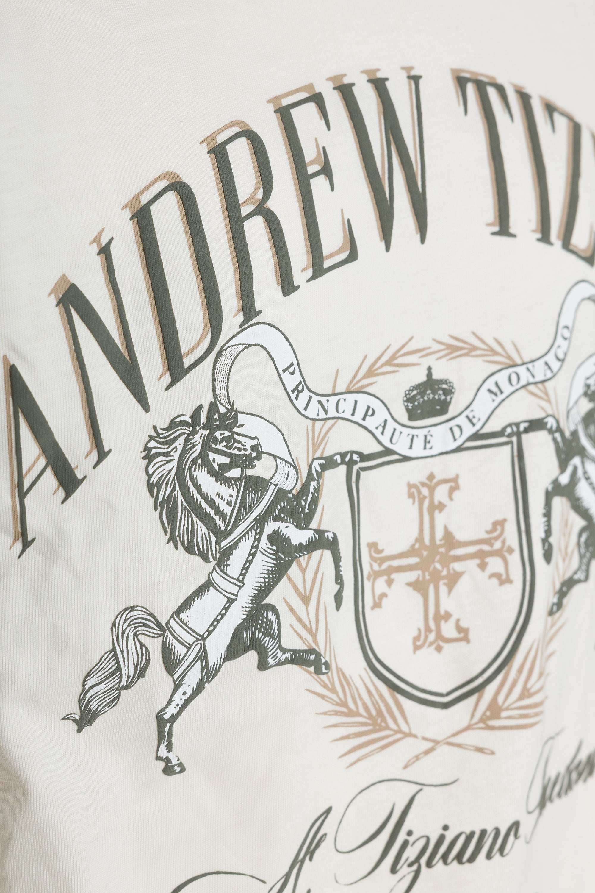Conley | Graphic Print Tee - Aaria Tees Aaria Tees