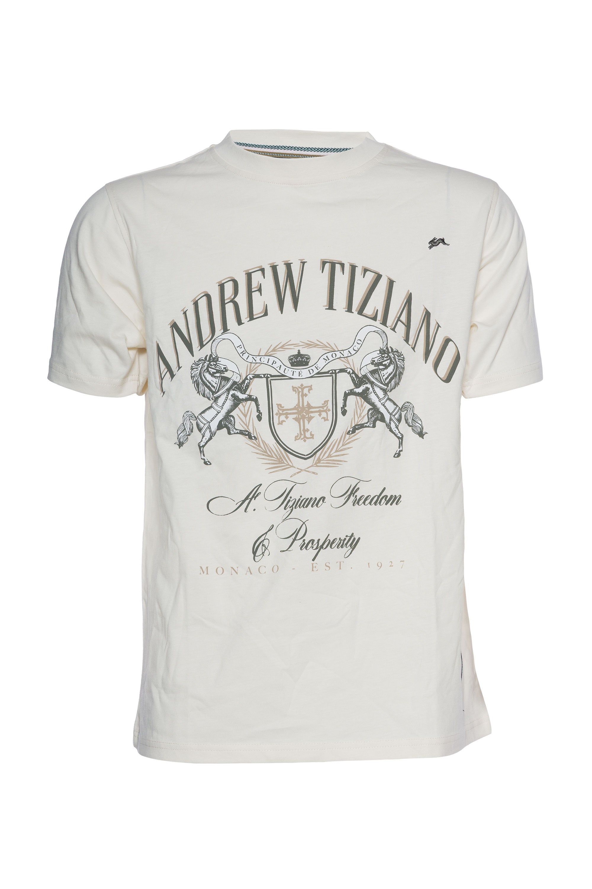 Conley | Graphic Print Tee - Aaria Tees Aaria Tees
