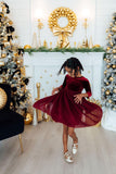 Cranberry Velvet Tutu Dress - Aaria Tees Aaria Tees
