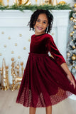 Cranberry Velvet Tutu Dress - Aaria Tees Aaria Tees