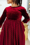 Cranberry Velvet Tutu Dress - Aaria Tees Aaria Tees