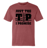 Just The Tip I Promise Flag (Front Print) Aaria Tees