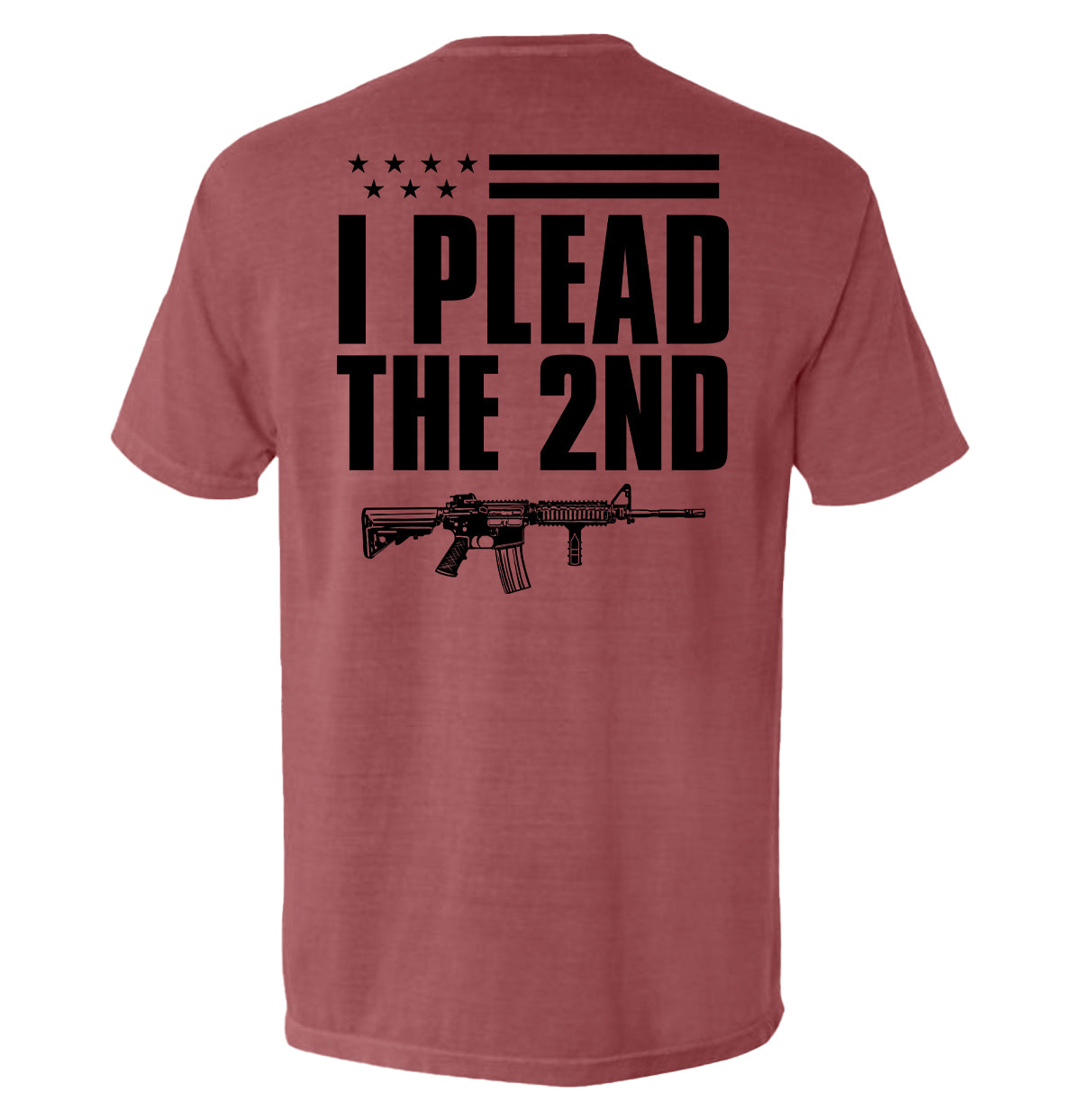 I Plead The 2nd (Back Print) - Aaria Tees Aaria Tees