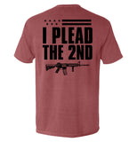 I Plead The 2nd (Back Print) - Aaria Tees Aaria Tees