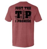 Just The Tip I Promise Flag Aaria Tees