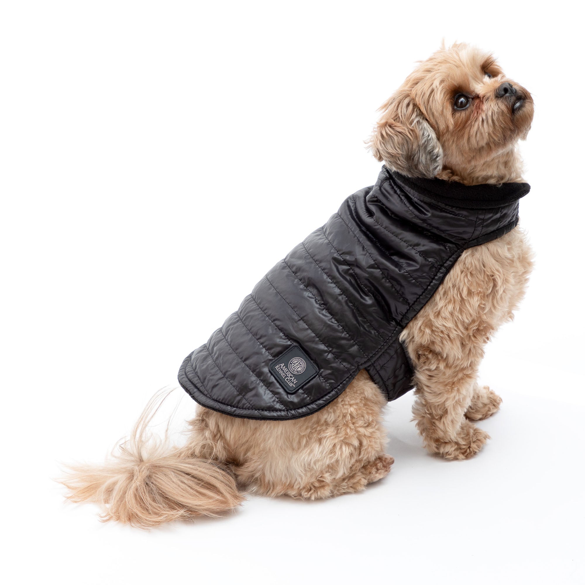 AKC Belly Band Dog Puff Coat - Aaria Tees Aaria Tees
