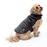 AKC Belly Band Dog Puff Coat - Aaria Tees Aaria Tees