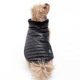 AKC Belly Band Dog Puff Coat - Aaria Tees Aaria Tees