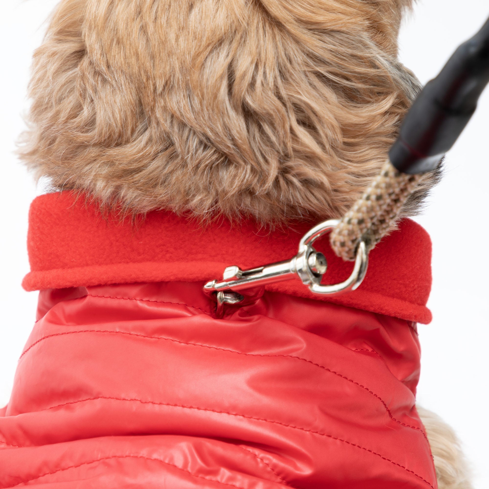 AKC Belly Band Dog Puff Coat - Aaria Tees Aaria Tees