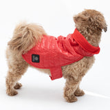 AKC Belly Band Dog Puff Coat - Aaria Tees Aaria Tees