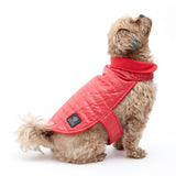AKC Belly Band Dog Puff Coat - Aaria Tees Aaria Tees
