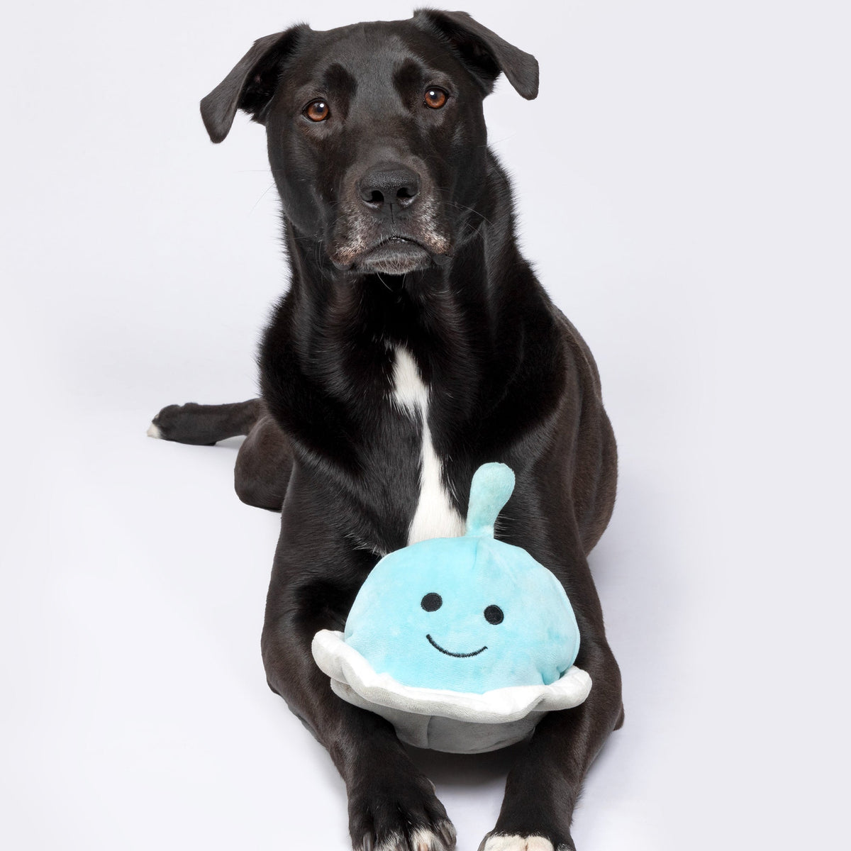 Patchwork Pet Spaceship with Alien 5-inch - Aaria Tees