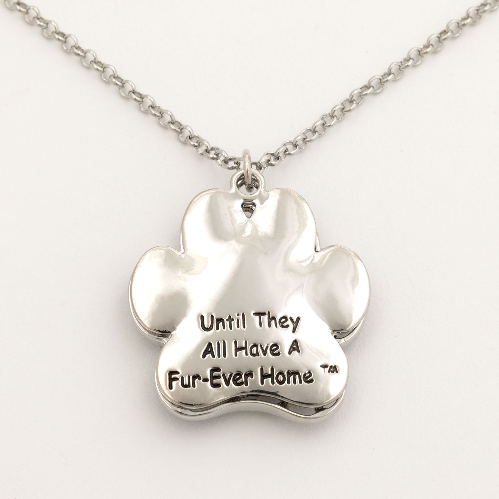 Fur-Ever Home Paw Charm Necklace - Aaria Tees Aaria Tees