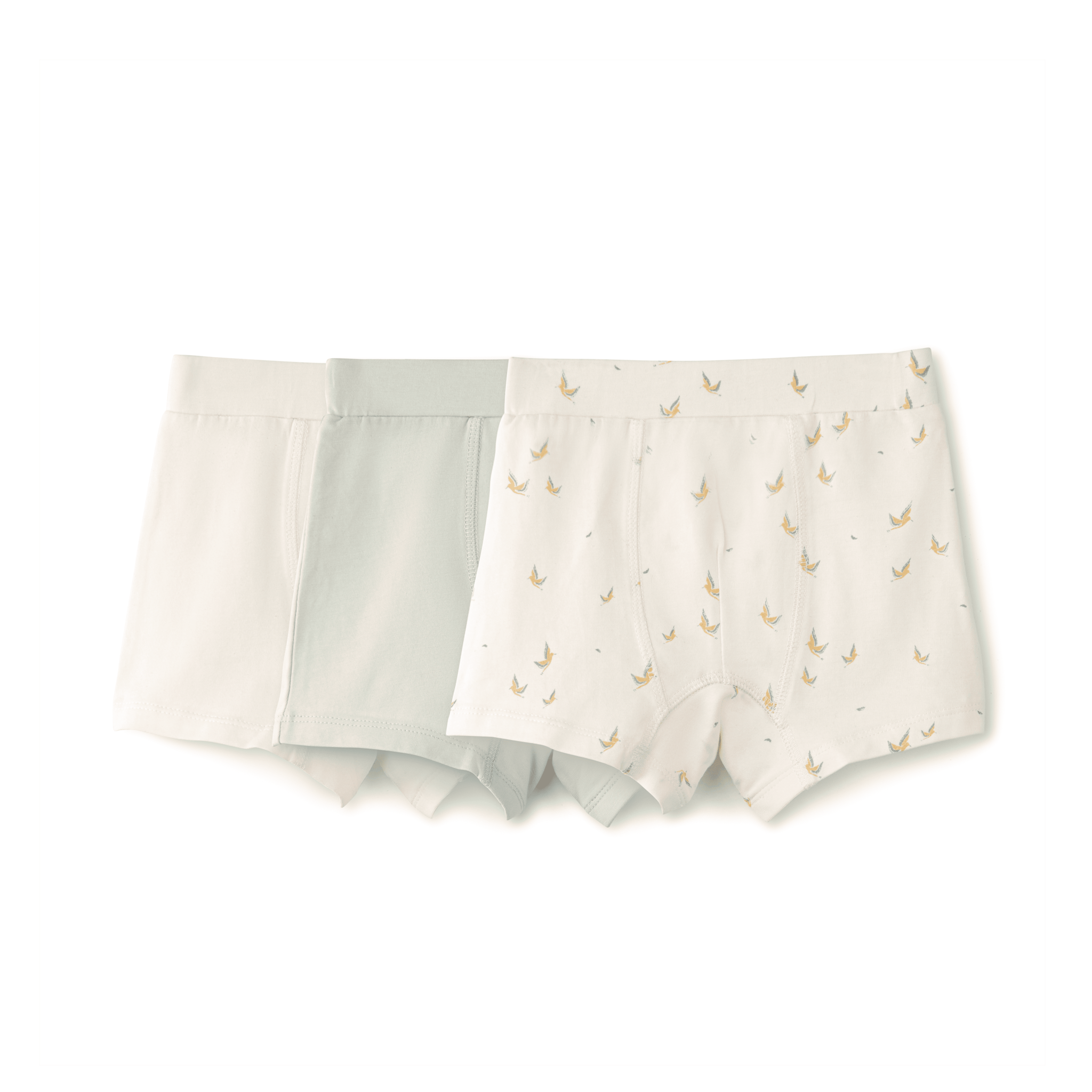 Boy's Shorts Set - Aaria Tees Aaria Tees