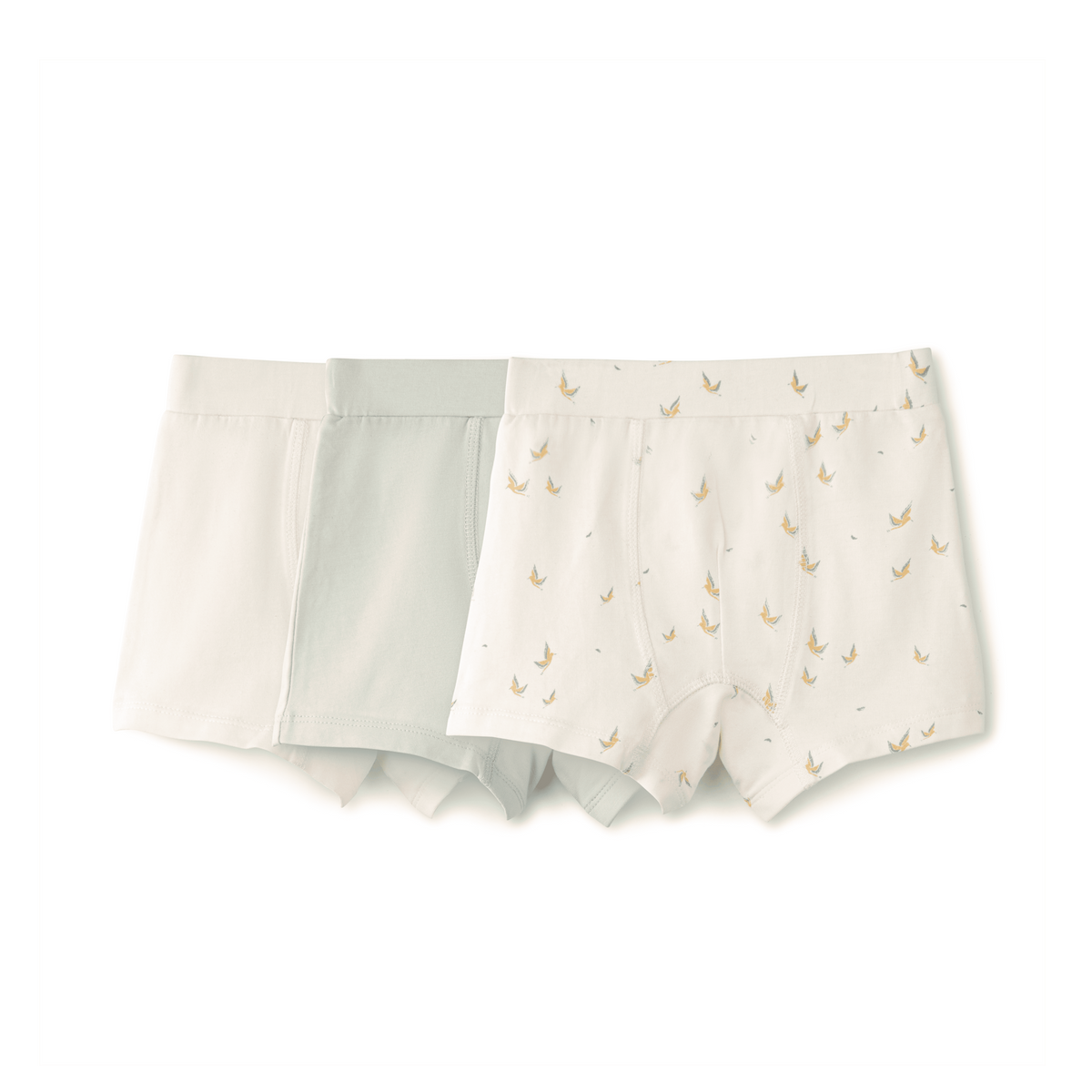 Boy's Shorts Set - Aaria Tees