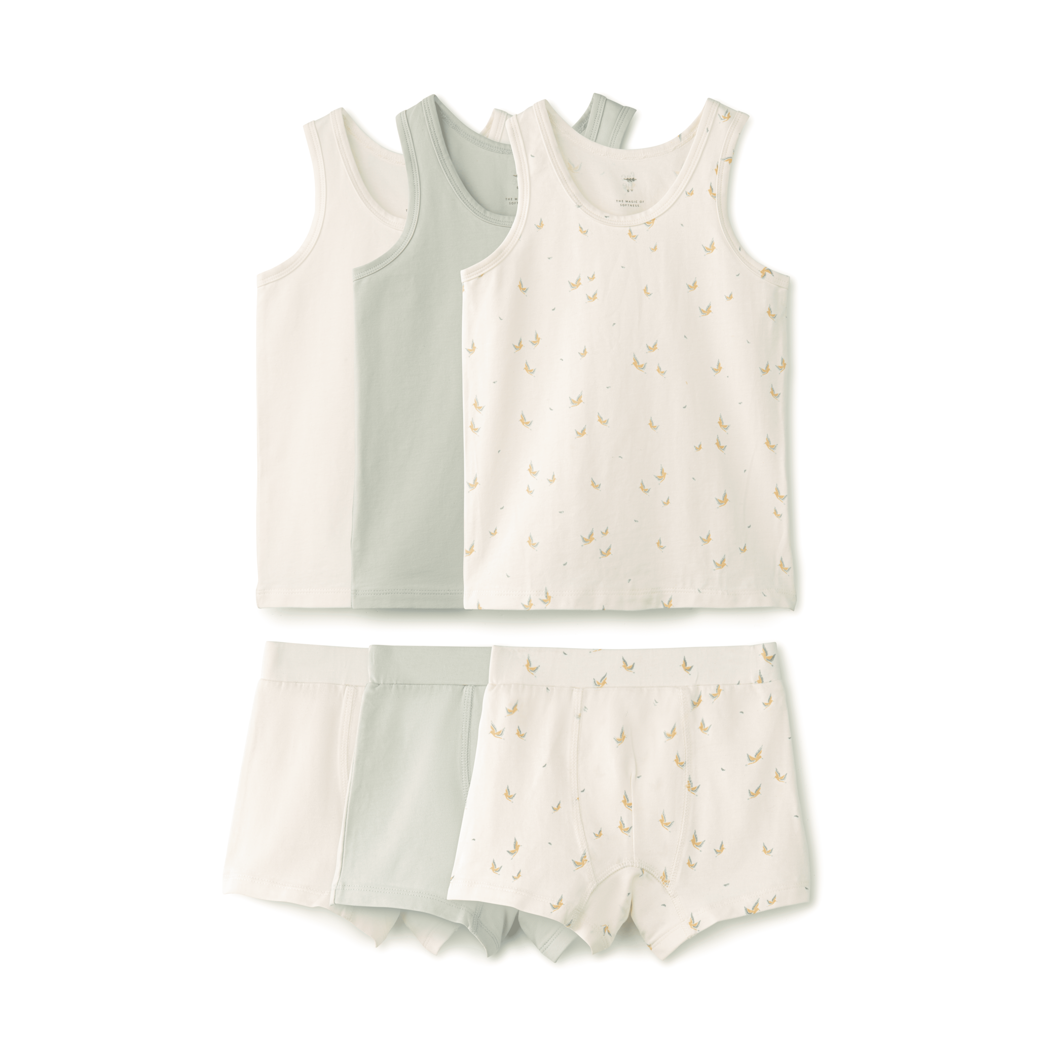 Boy's Undies Set-Shorts - Aaria Tees Aaria Tees