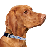 Dino Doggy White Dog Collar Aaria Tees