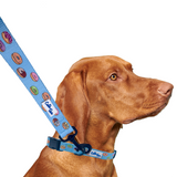 Donuts Blue Dog Leash Aaria Tees