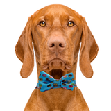 Donuts Dog Bow Tie Aaria Tees