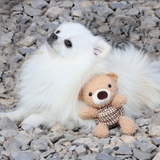 Squeaky Rope Buddies Aaria Tees
