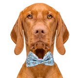Elephant Love Blue Dog Bow Tie Aaria Tees