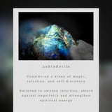 Labradorite Mini Halo Earrings Aaria Tees