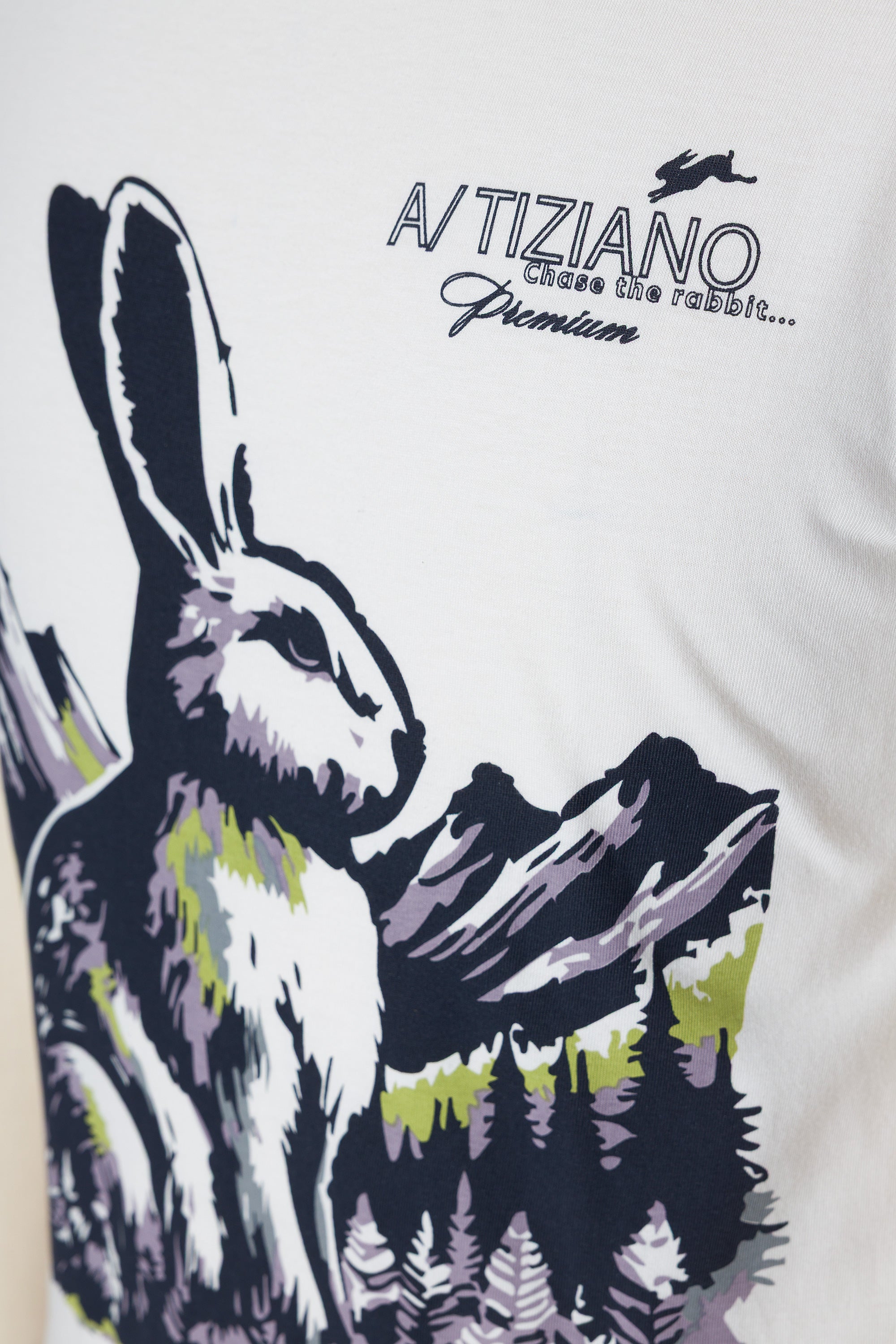 Felix | Graphic Print Tee - Aaria Tees Aaria Tees