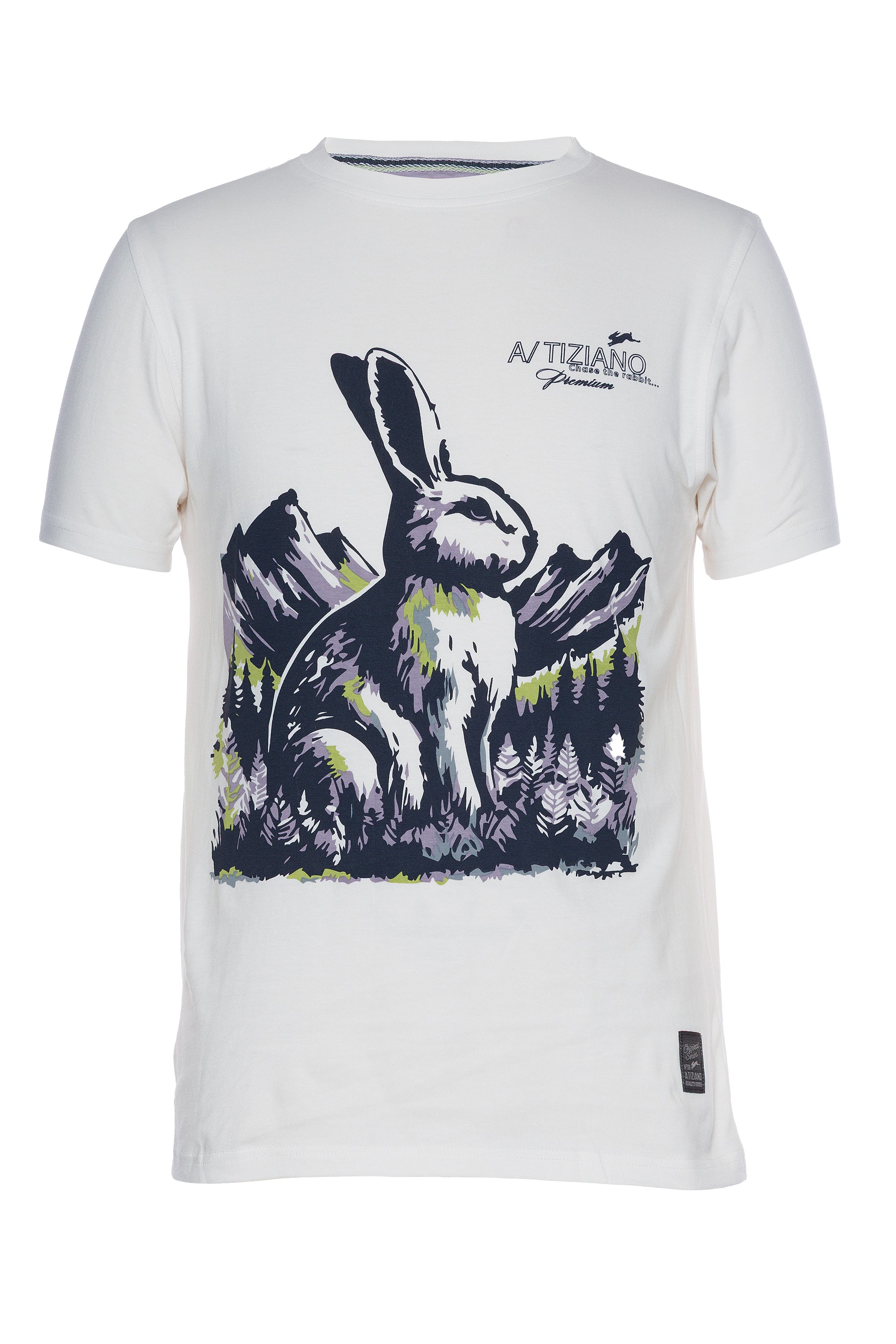 Felix | Graphic Print Tee - Aaria Tees Aaria Tees