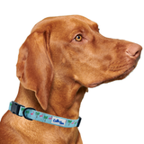 Flamingo Miami Vice Dog Collar Aaria Tees