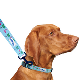 Flamingo Miami Vice Dog Leash Aaria Tees