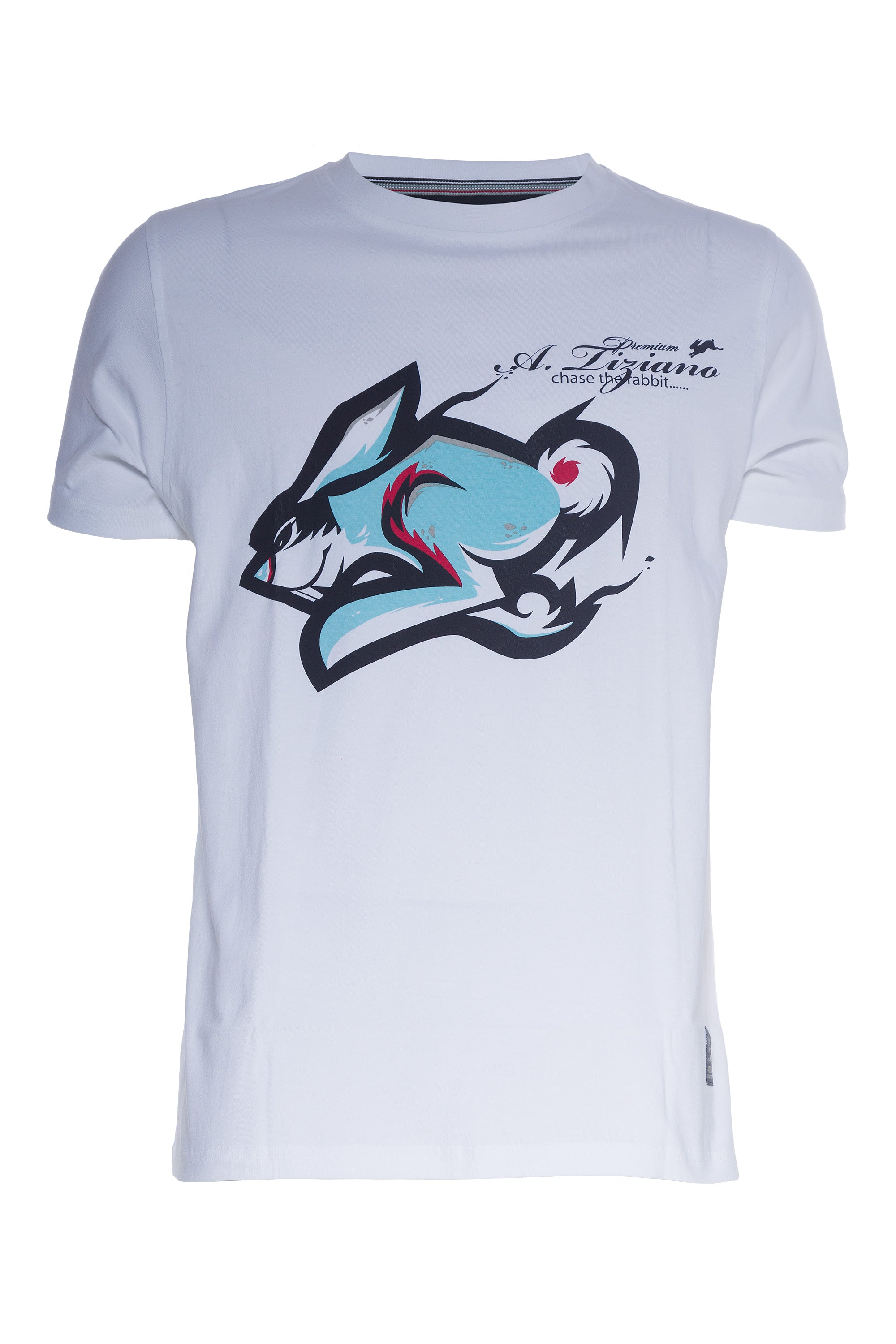 Gatlin | Graphic Print Tee - Aaria Tees Aaria Tees