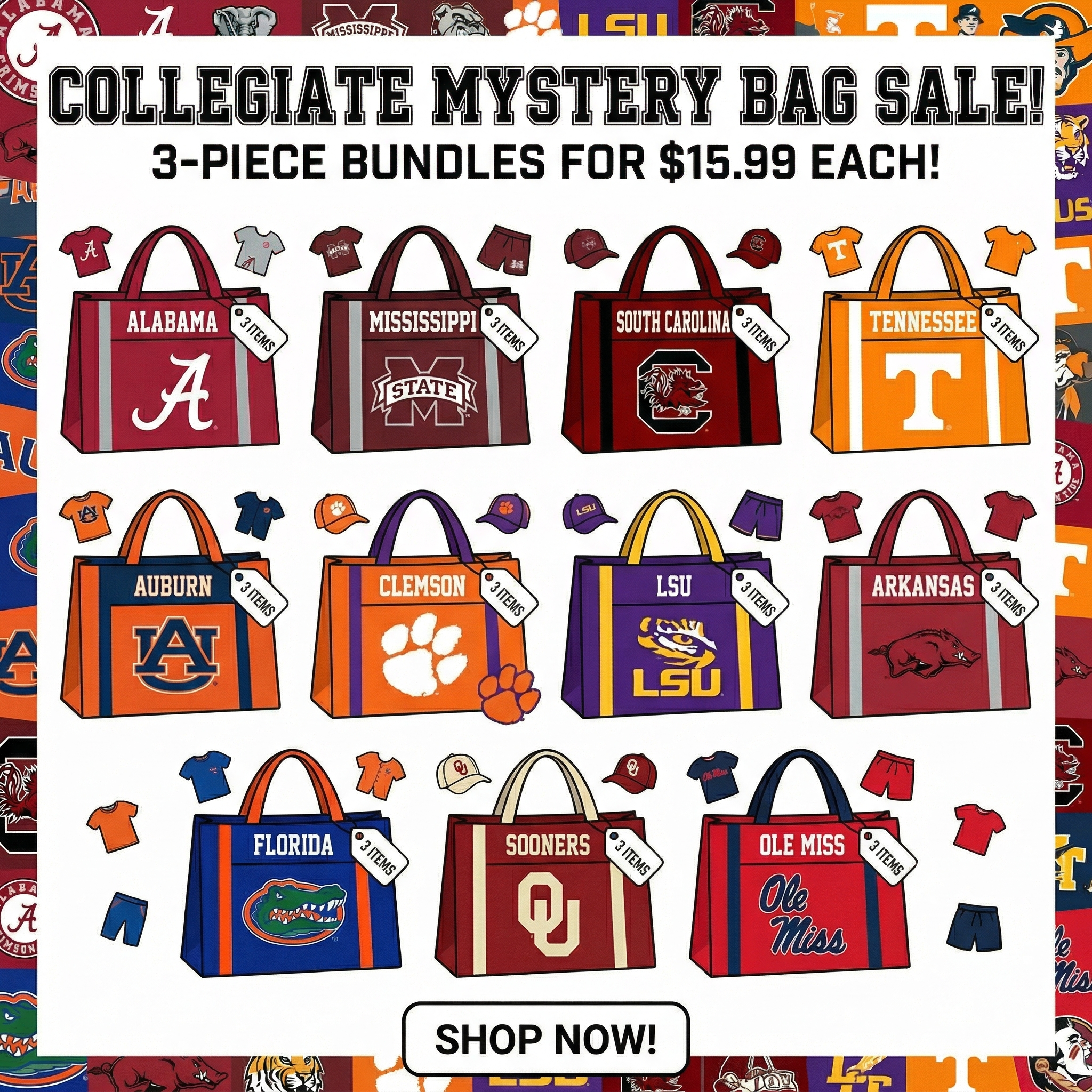Collegiate Mystery Bag 3 pcs bundle - Aaria Tees Aaria Tees