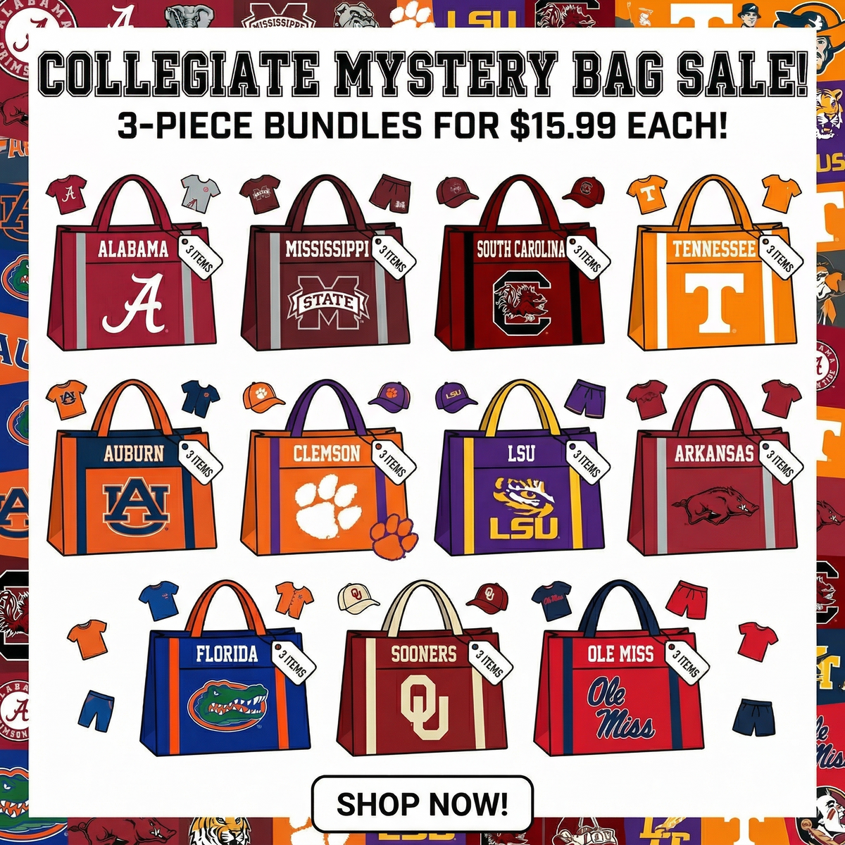 Collegiate Mystery Bag 3 pcs bundle - Aaria Tees